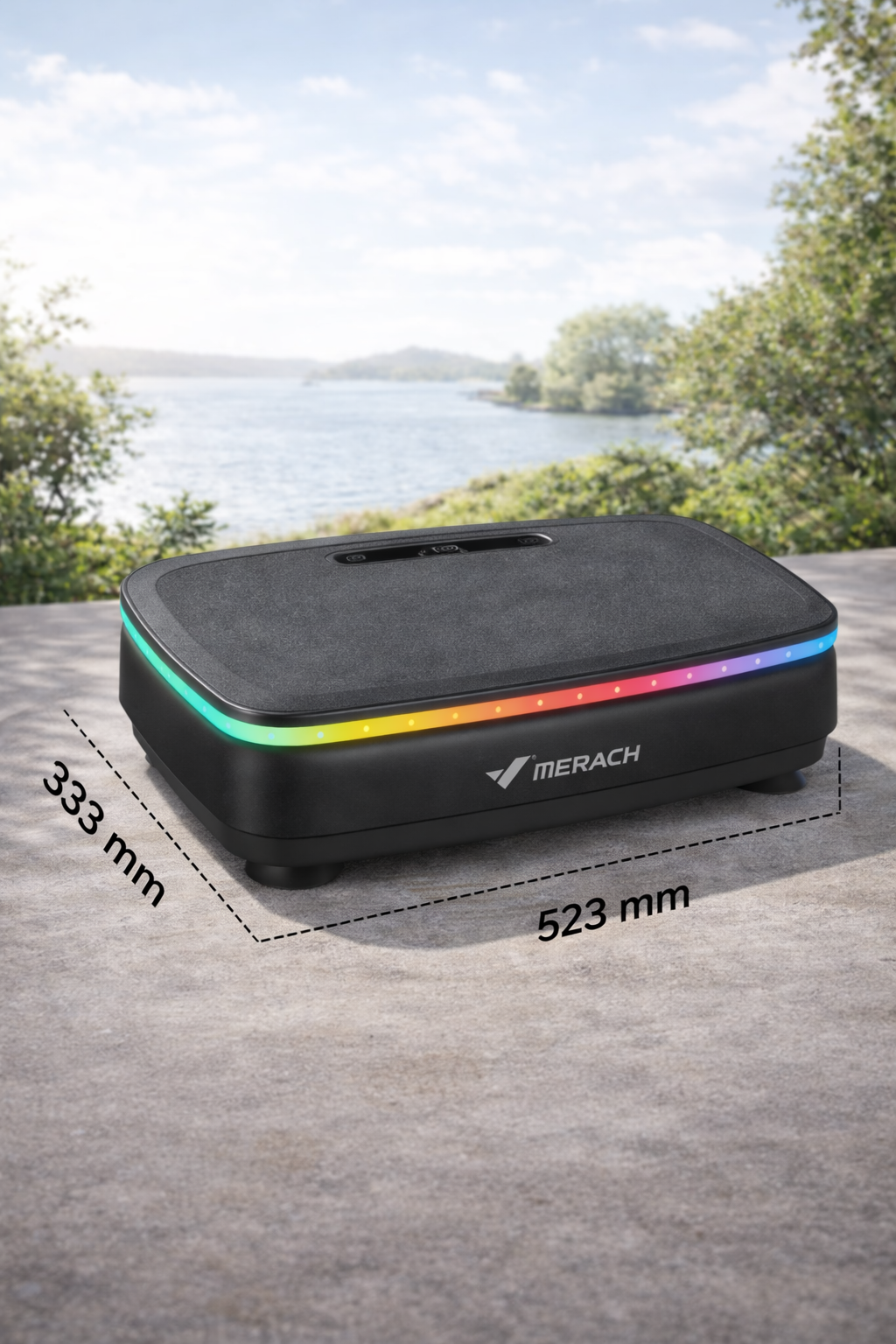 VIBRAČNÍ DESKA NA CVIČENÍ 💪